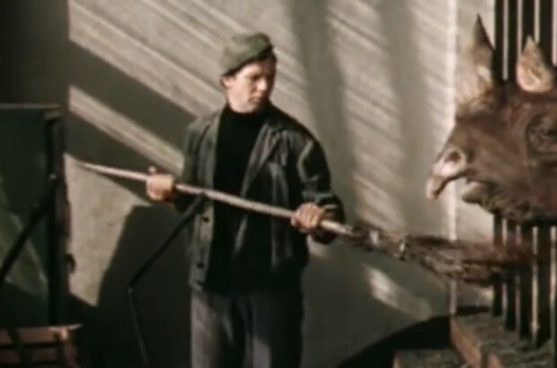 Boba i slon (1972) - photo 7