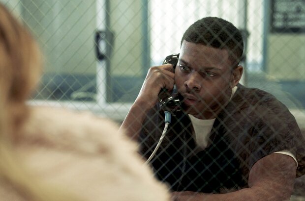 Bosco (2024) - photo 2