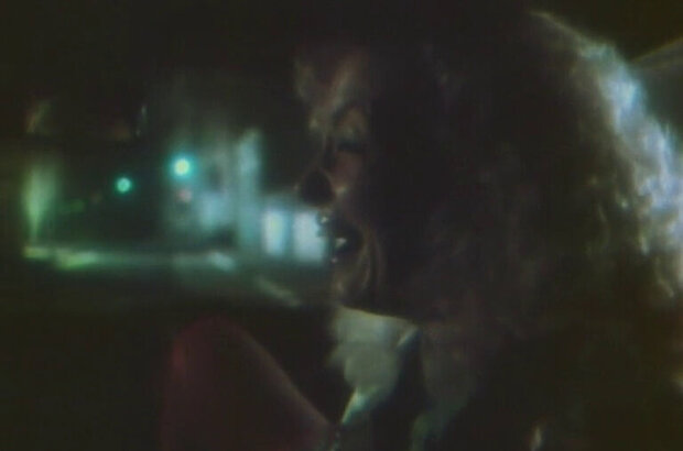 Niagara Falls (1991) - photo 5