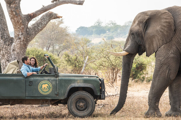 Christmas in the Wild (2019) - photo 5
