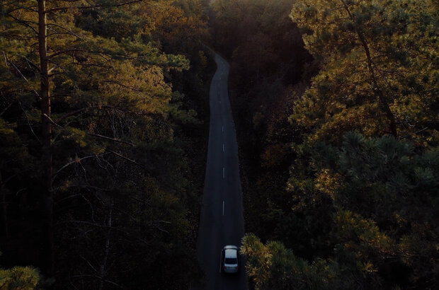 Night of the Caregiver (2022) - photo 7
