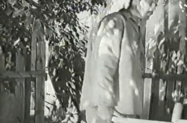 Ласточка (1957) - фото 1