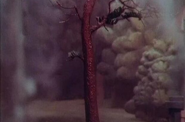 Ischezatel (1987) - photo 6