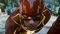 The Flash