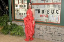 Фото: Сандра Буллок на премьере фильма «Птичий короб» в Нью-Йорке