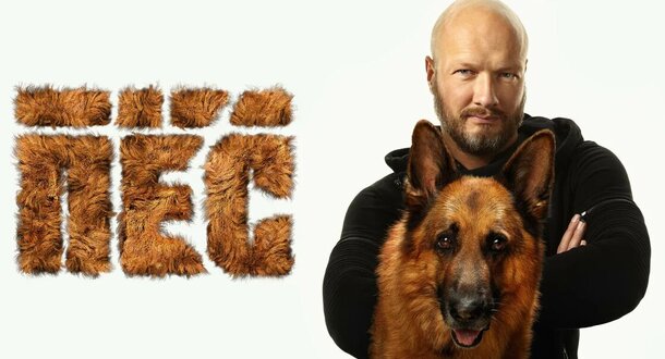 «С первой серии не смог оторваться»: иностранцам русский «Пес» зашел больше, чем «Комиссар Рекс»