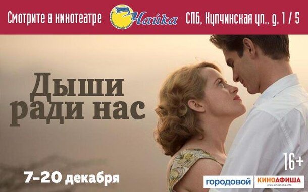 «Город кошек» и «Дыши ради нас» покажут в киноцентре «ЧАЙКА»