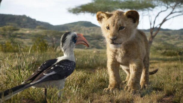 Disney снимет «Короля льва 2» и раскроет предысторию Муфасы Disney снимет «Короля льва 2» и раскроет предысторию Муфасы