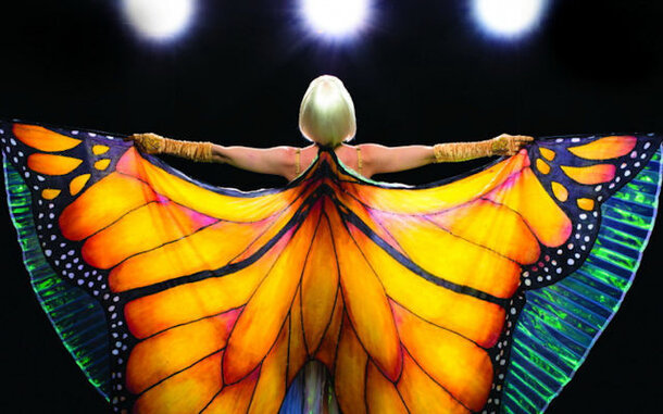 На Новой сцене Александринского театра покажут фильм «Редкая бабочка» Присциллы Кэмерон