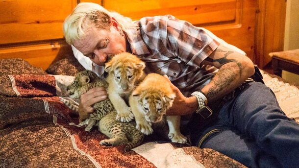«Король тигров» от Netflix почти побил рекорд сериала «Очень странные дела»