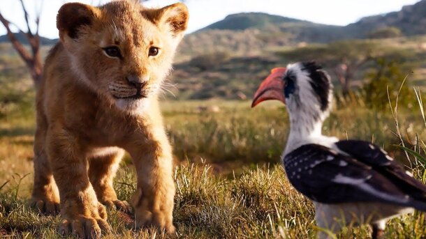 Disney против благотворительности: медиагигант выставил школе штраф за показ «Короля Льва» 