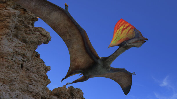 Сэр Дэвид Аттенборо готовит документальный фильм о последних днях динозавров