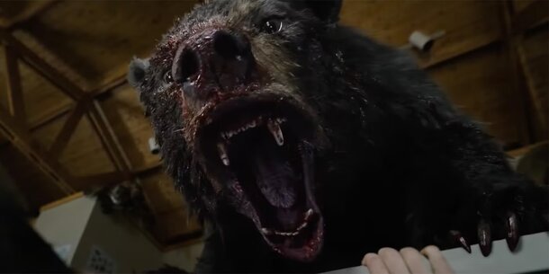 Зверь под кайфом наводит страх на людей в трейлере комедийного триллера «Кокаиновый медведь» 