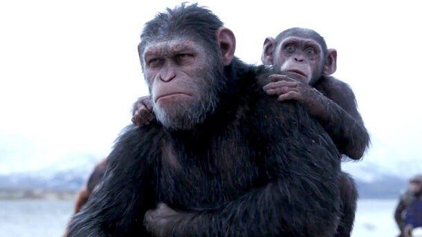 Следующая «Планета обезьян» может стать перезапуском франшизы 
