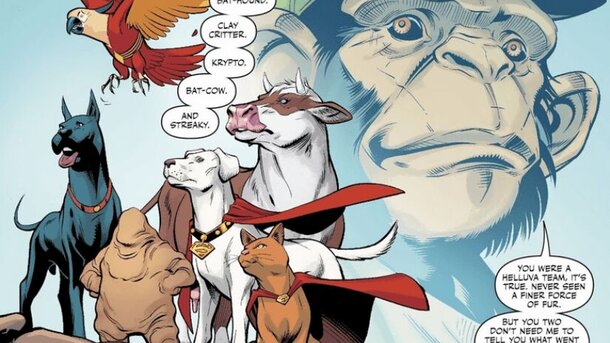 DC выпустят полнометражный фильм про животных-супергероев