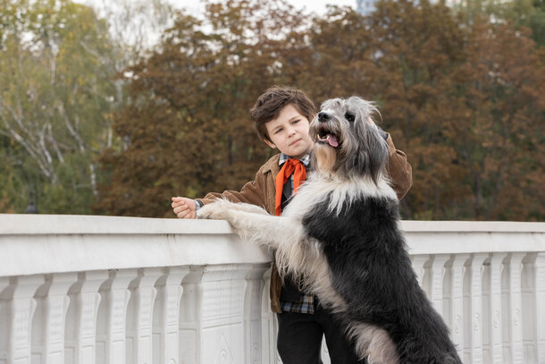 12-летний мальчик познает настоящую дружбу в трейлере фильма «Каждый мечтает о собаке»