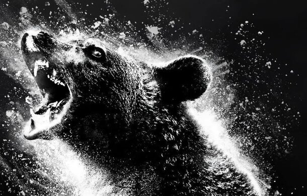 Милый зверь под кайфом атакует людей в новом проморолике «Кокаинового медведя» 