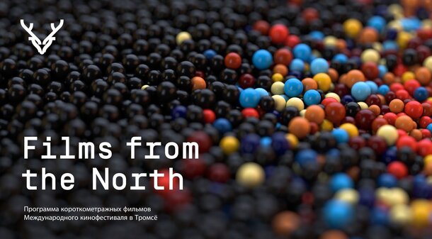 «Фильмы с севера»: шесть очень разных историй из Скандинавии