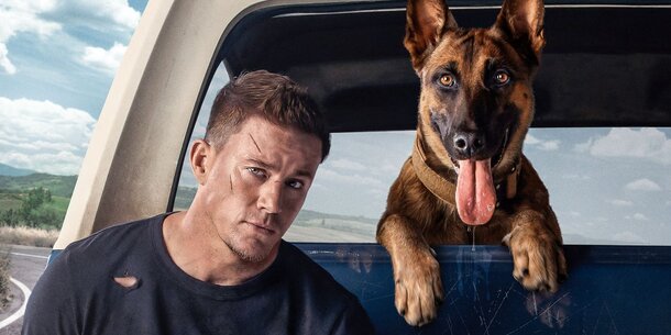 Ченнинг Татум и военная собака Лулу становятся друзьями в трейлере фильма «Дог»