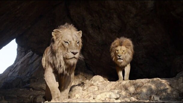 Стало известно, кто озвучит Муфасу и Шрама в приквеле «Короля Льва»