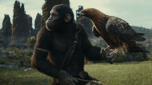 Гориллы охотятся на Фрейю Аллан в новом трейлере «Планеты обезьян: Новое царство»