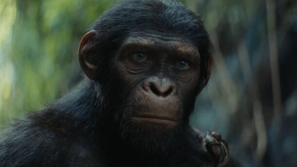 Наследника Цезаря посещают видения о будущем в трейлере фильма «Королевство планеты обезьян»