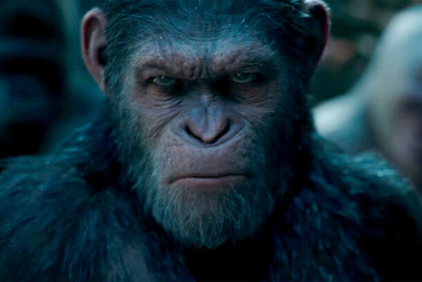 Disney запустил разработку новой «Планеты обезьян» от режиссера «Бегущего в лабиринте»