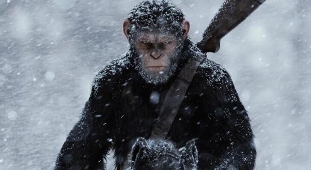 Кинокритики в восторге от «Планеты обезьян: Война»: первые отзывы