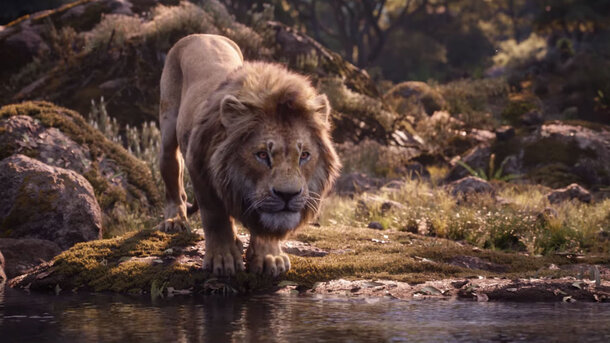 Беги, Симба: Новый трейлер «Короля льва»
