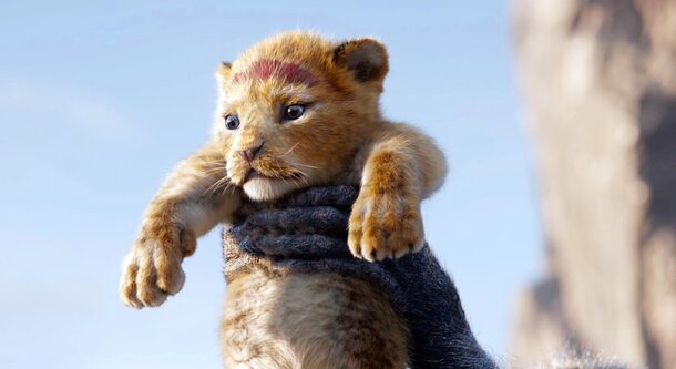 Disney снимет «Короля льва 2» и раскроет предысторию Муфасы