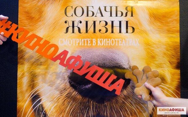 «Киноафиша» провела закрытый пресс-показ фильма «Собачья жизнь»
