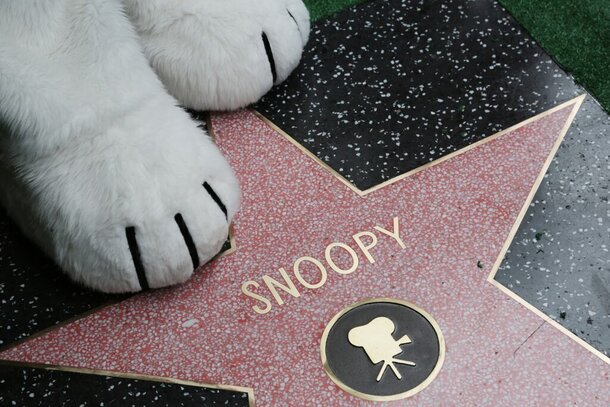 Снупи получил звезду на Аллее славы в Голливуде!