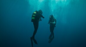 Не оторваться: 5 новых фильмов, которые смотрятся на одном дыхании