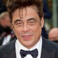 Benicio Del Toro