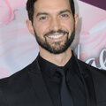 David Alpay