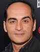 Navid Negahban