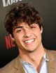 Noah Centineo