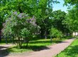 Юсуповский сад
