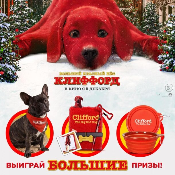 Разыгрываем призы к фильму «Большой красный пес Клиффорд» Разыгрываем призы к фильму «Большой красный пес Клиффорд»
