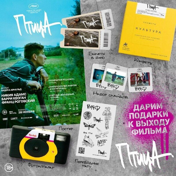 Разыгрываем призы к фильму «Птица» Разыгрываем призы к фильму «Птица»