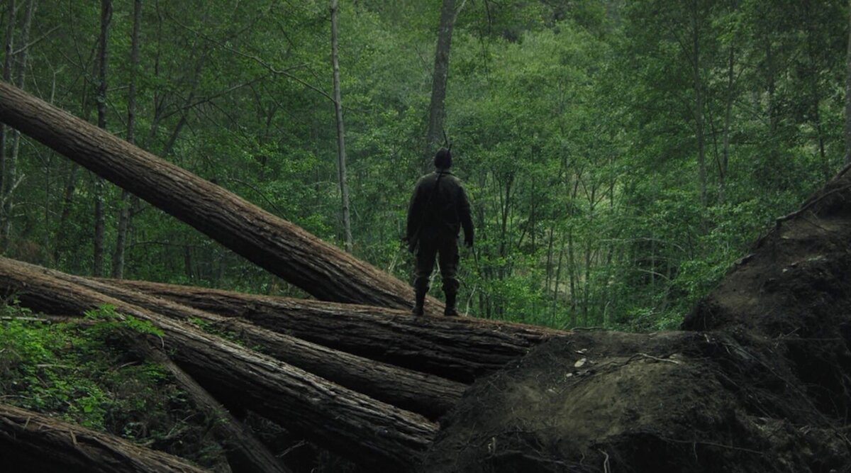 «Лес призраков: Сатор»: Рецензия Киноафиши