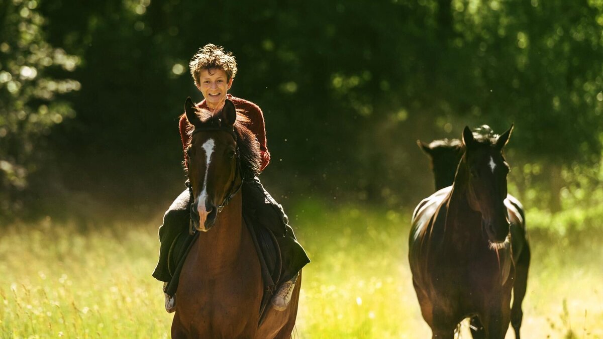 «Угоняя лошадей»: Рецензия Киноафиши