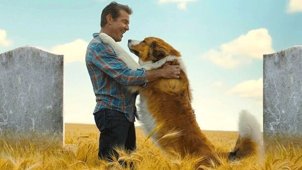 «Собачья жизнь 2»: Рецензия Киноафиши «Собачья жизнь 2»: Рецензия Киноафиши