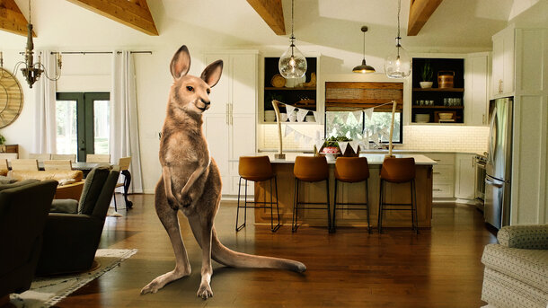 Ничем не примечательное семейное кино о дружбе девочки-подростка с разговаривающим кенгуру. Ничем не примечательное семейное кино о дружбе девочки-подростка с разговаривающим кенгуру.