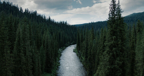 Survival lessons and family psychotherapy in the wild Taiga. Survival lessons and family psychotherapy in the wild Taiga.