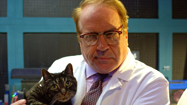 Когда твоя собака &ndash; суперагент. 