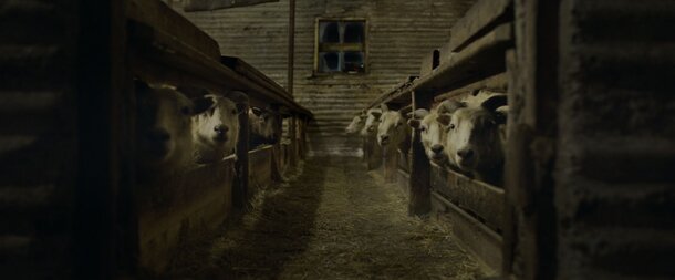 Леденящий кровь фолк-хоррор о крахе идиллической жизни. 