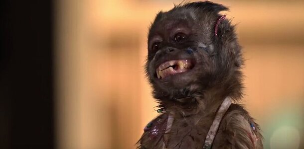 О жизни за 10