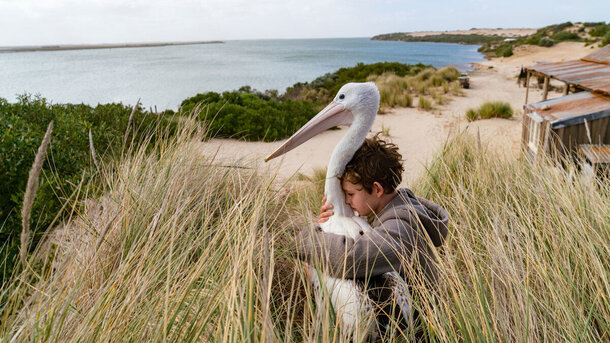 О крыльях любви. 