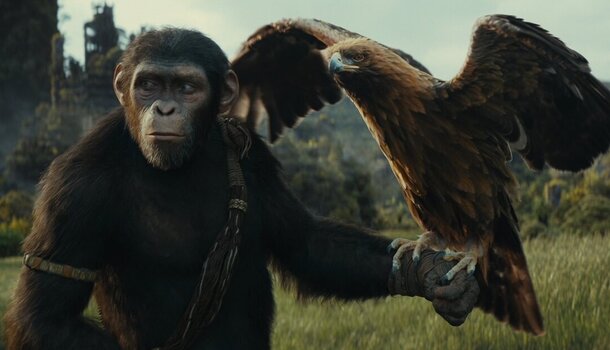 Kingdom of the Planet of the Apes